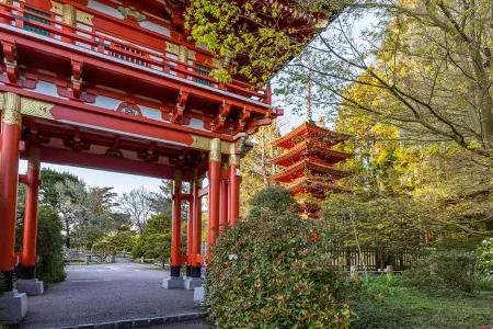 日本 Tea Garden Temple