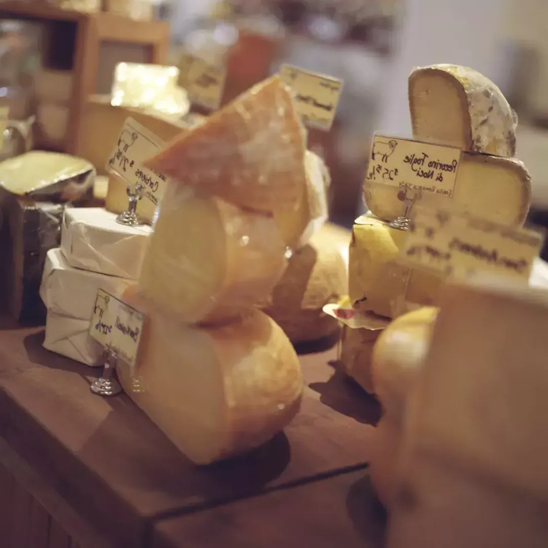 美食柜台上的各种奶酪